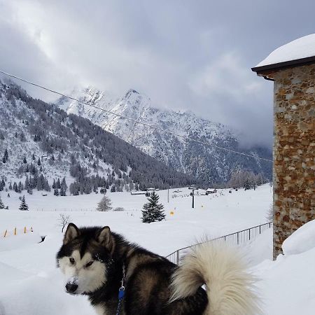 Ferienwohnung Sci Ai Piedi,Passeggiate,Mountain Bike,Relax Tonalepass Exterior foto